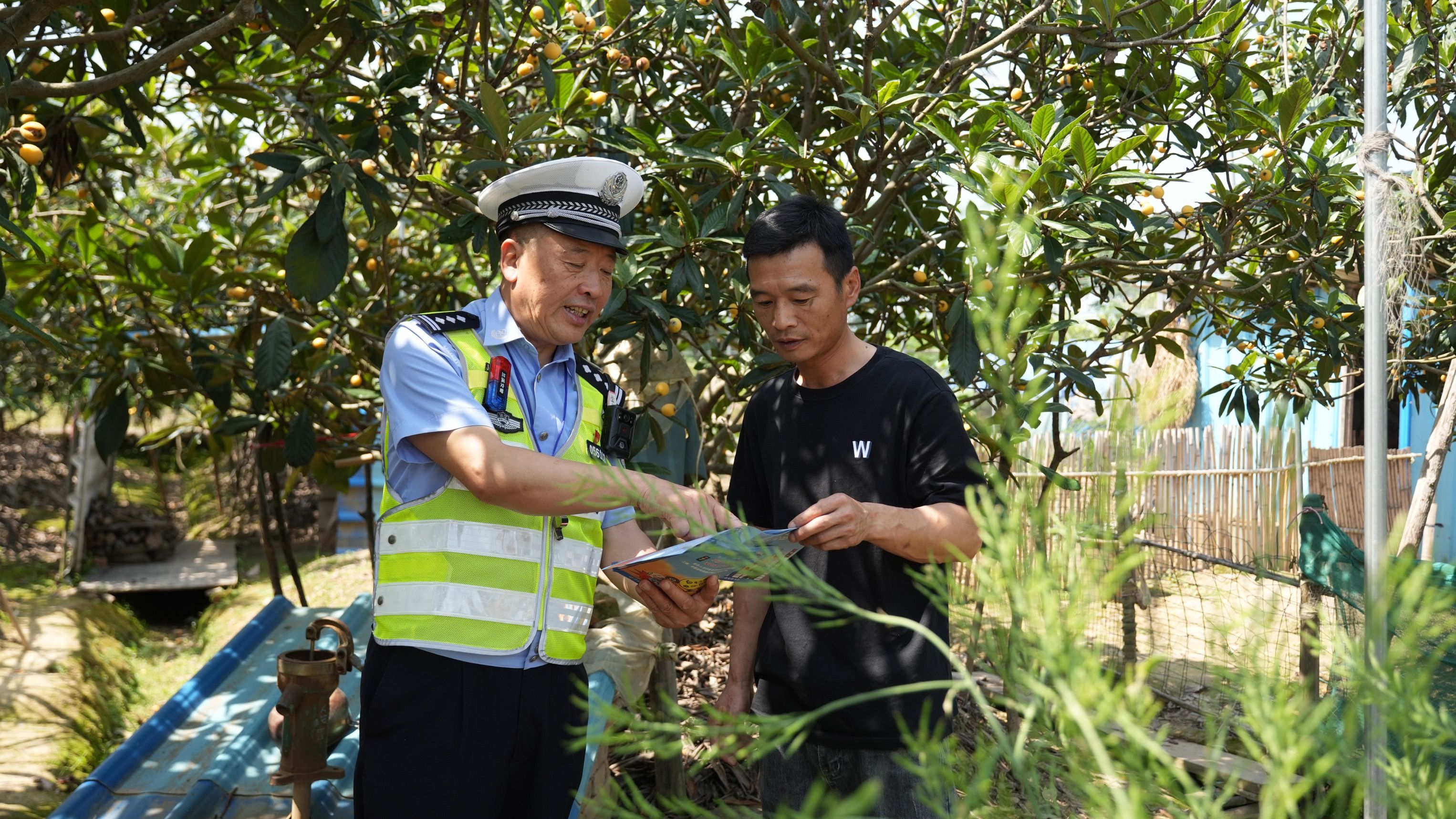 图为交警在批评林和果农面对面讲解交通安全知识。.jpg 图为交警在批评林和果农面对面讲解交通安全知识。.jpg