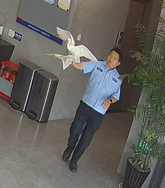 微信图片_20250529134903.png 微信图片_20250529134903.png
