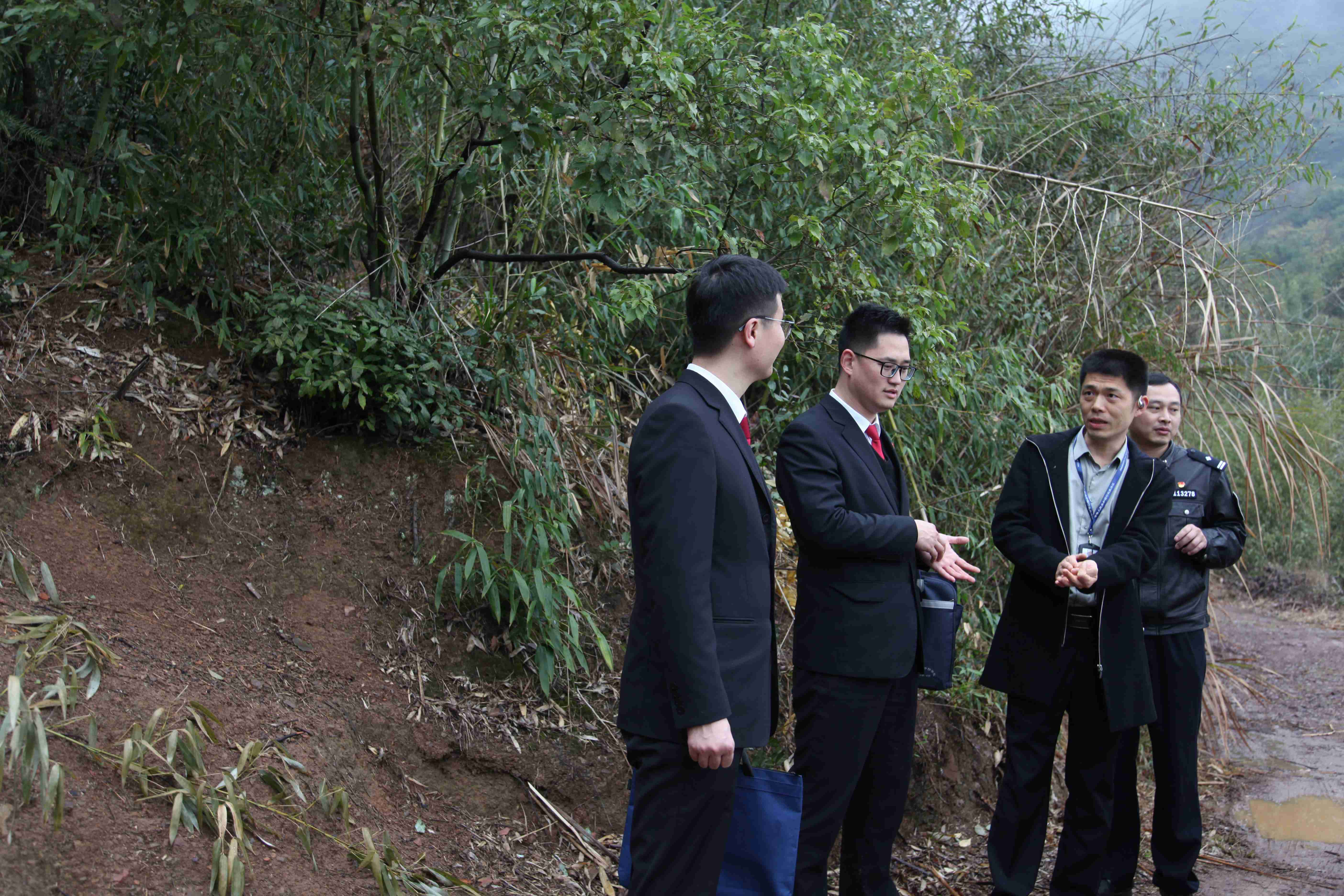 萧山法院联合多部门实地勘查盗伐林木案现场.jpg 萧山法院联合多部门实地勘查盗伐林木案现场.jpg