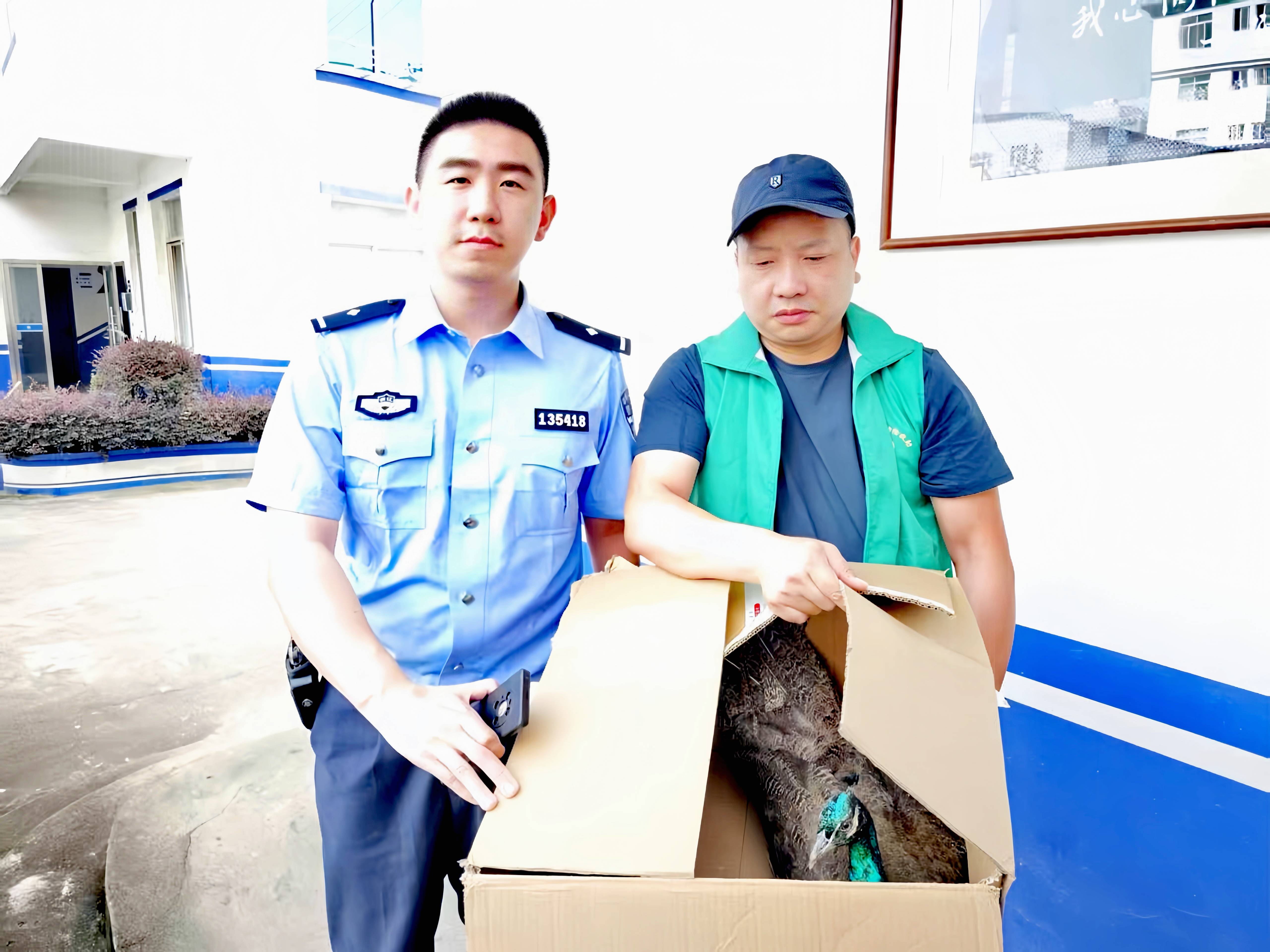 微信图片_20250618165709.jpg 微信图片_20250618165709.jpg
