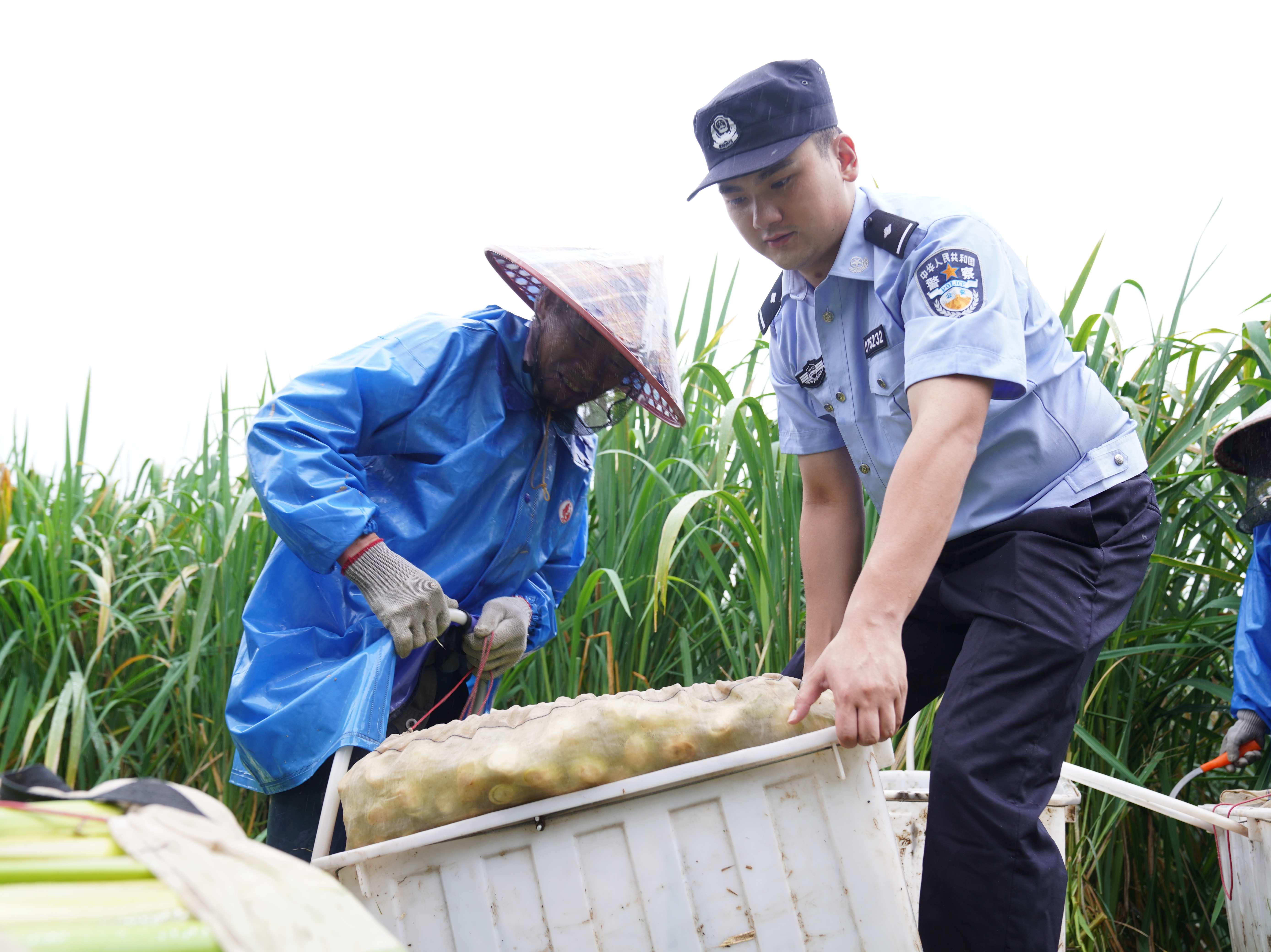 浙江缙云：生态警长一心呵护工业生态“绿肺”的故事