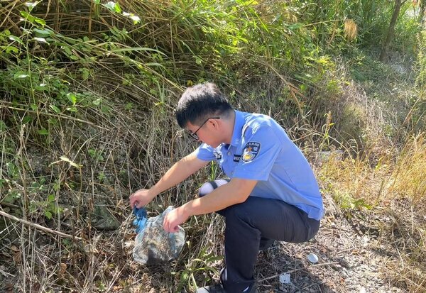 浙江丽水：警民携手帮小刺猬“回家”