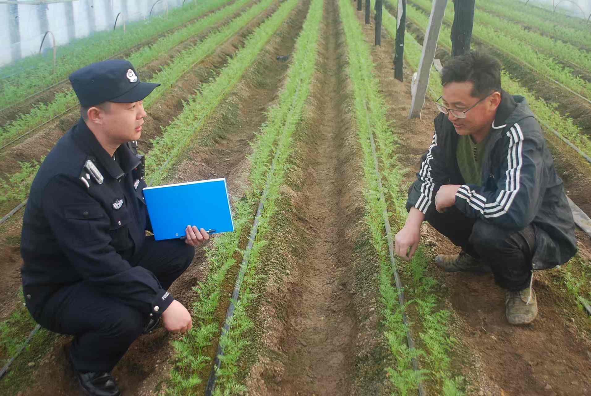 山东省莱西市公安局：“四头警务”绘就乡村振兴新“枫景”