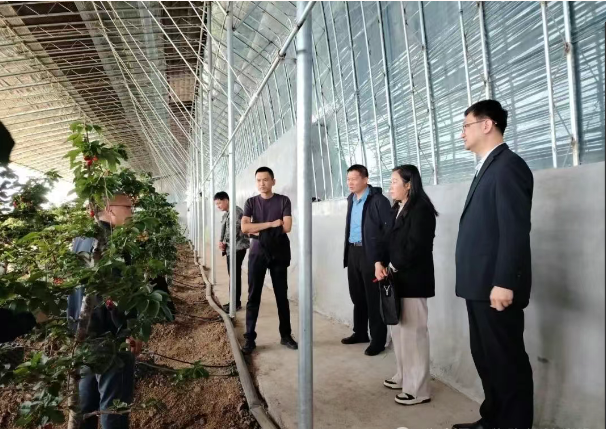 微信图片_20250630085144.png 微信图片_20250630085144.png