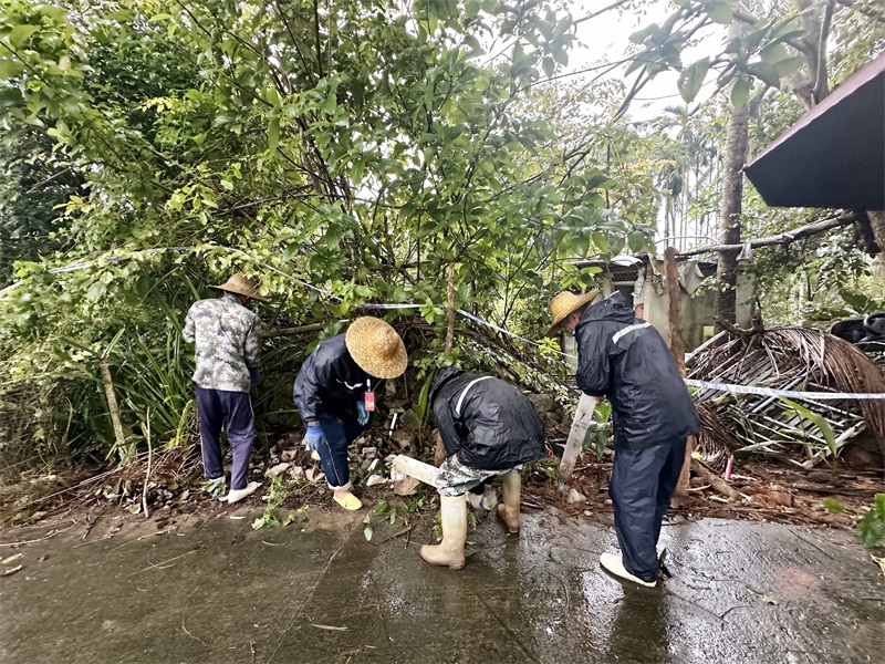 2024-12-13 屯昌法院强制执行一起排除妨害纠纷案件 (7).jpg