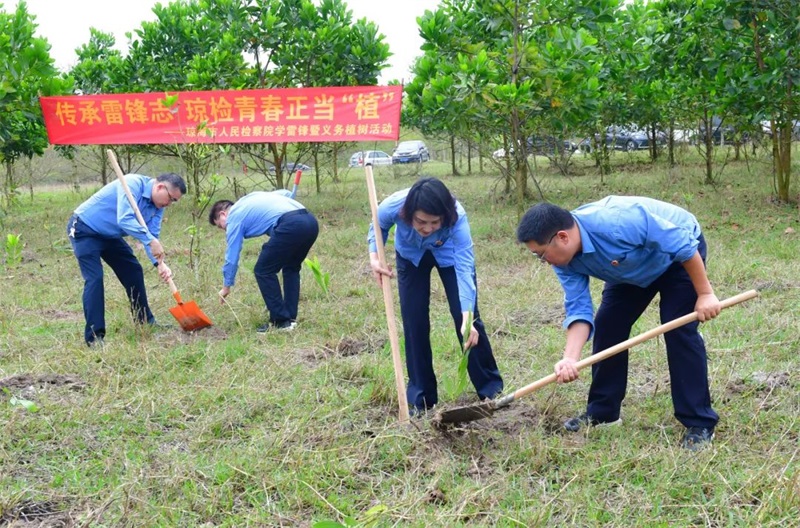 海南省琼海市检察院开展学雷锋暨义务植树活动