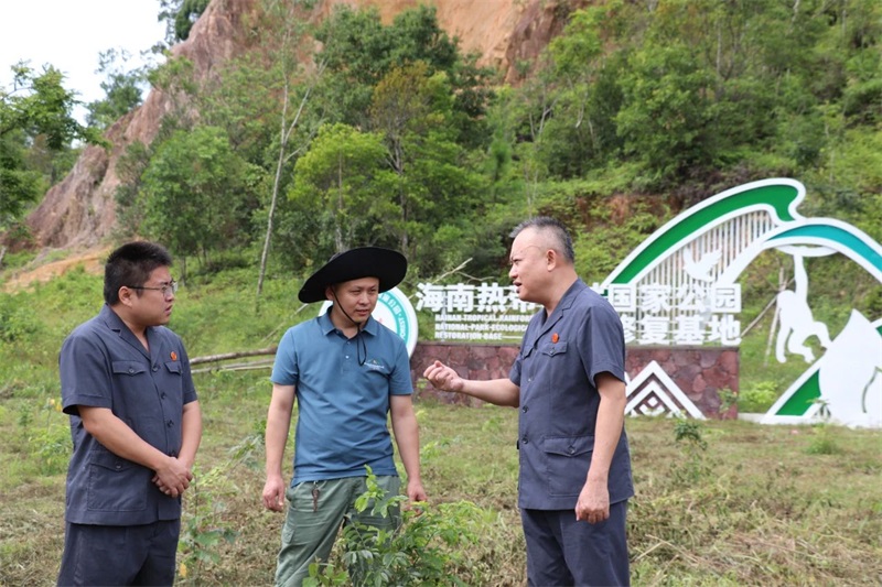 海南白沙法院开展异地补植做好环境资源审判“后半篇文章”