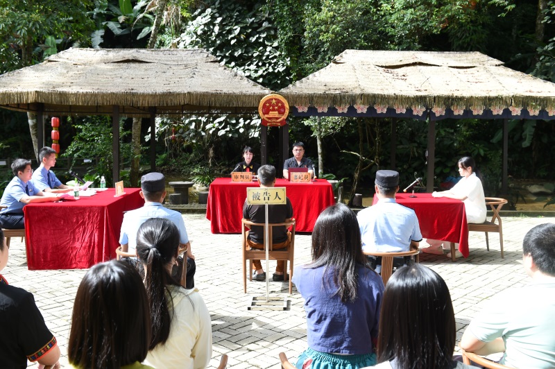 海南陵水法院：巡回审判进山林 司法护航生态美