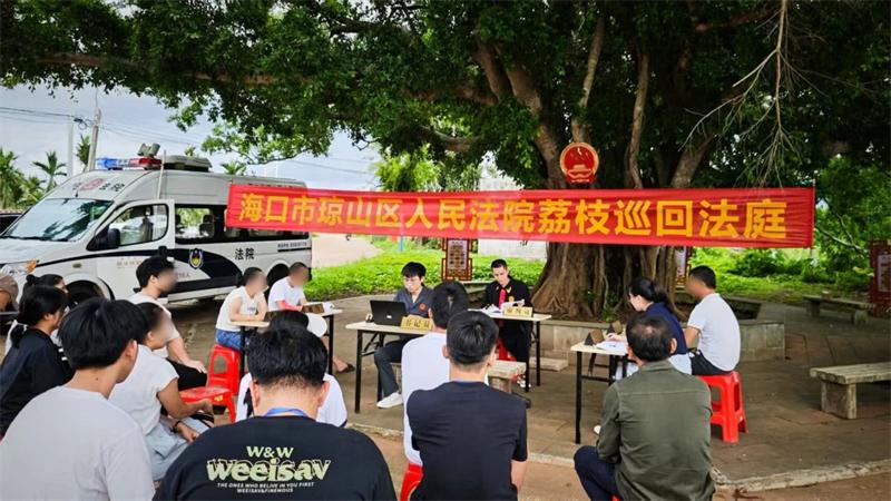 海口琼山法院荔枝巡回法庭进乡村 以案普法入民心