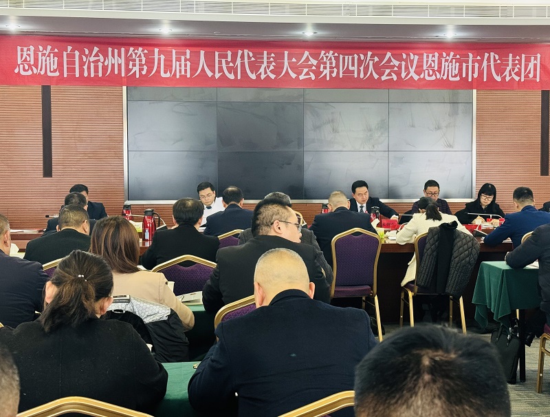 奋楫扬帆逐浪高——湖北省恩施州九届人大四次会议恩施市代表团审议政府工作报告侧记