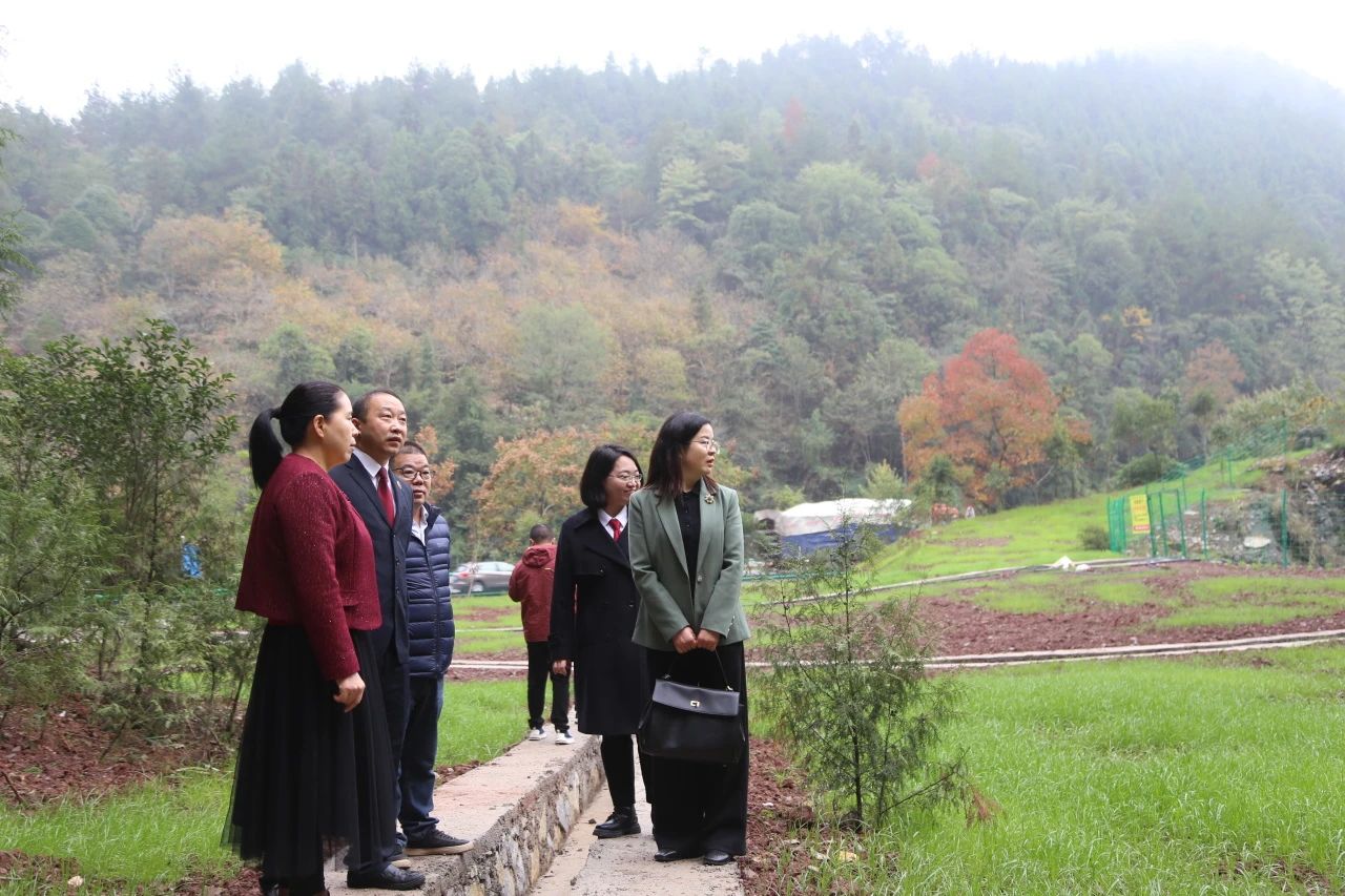 省人大代表吴彦(右一)在矿山生态修复现场.jpg 省人大代表吴彦(右一)在矿山生态修复现场.jpg