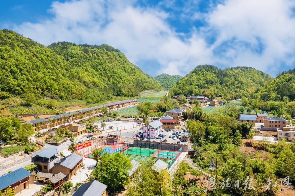 湖北巴东土店子村：“碳”寻乡村绿满园