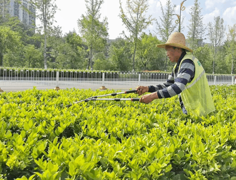 湖北恩施市：城管人烈日下“汗”卫城市容颜