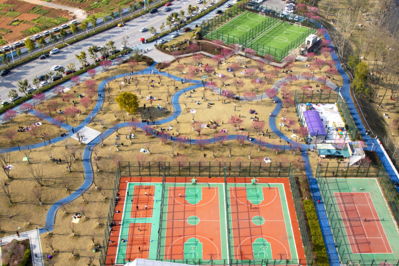 2月15日,恩施市旗峰坝体育公园内梅花绽放,春意盎然,吸引众多市民前来踏青赏花,娱乐健身,乐享美好春光。(通讯员 谭华 摄).jpg