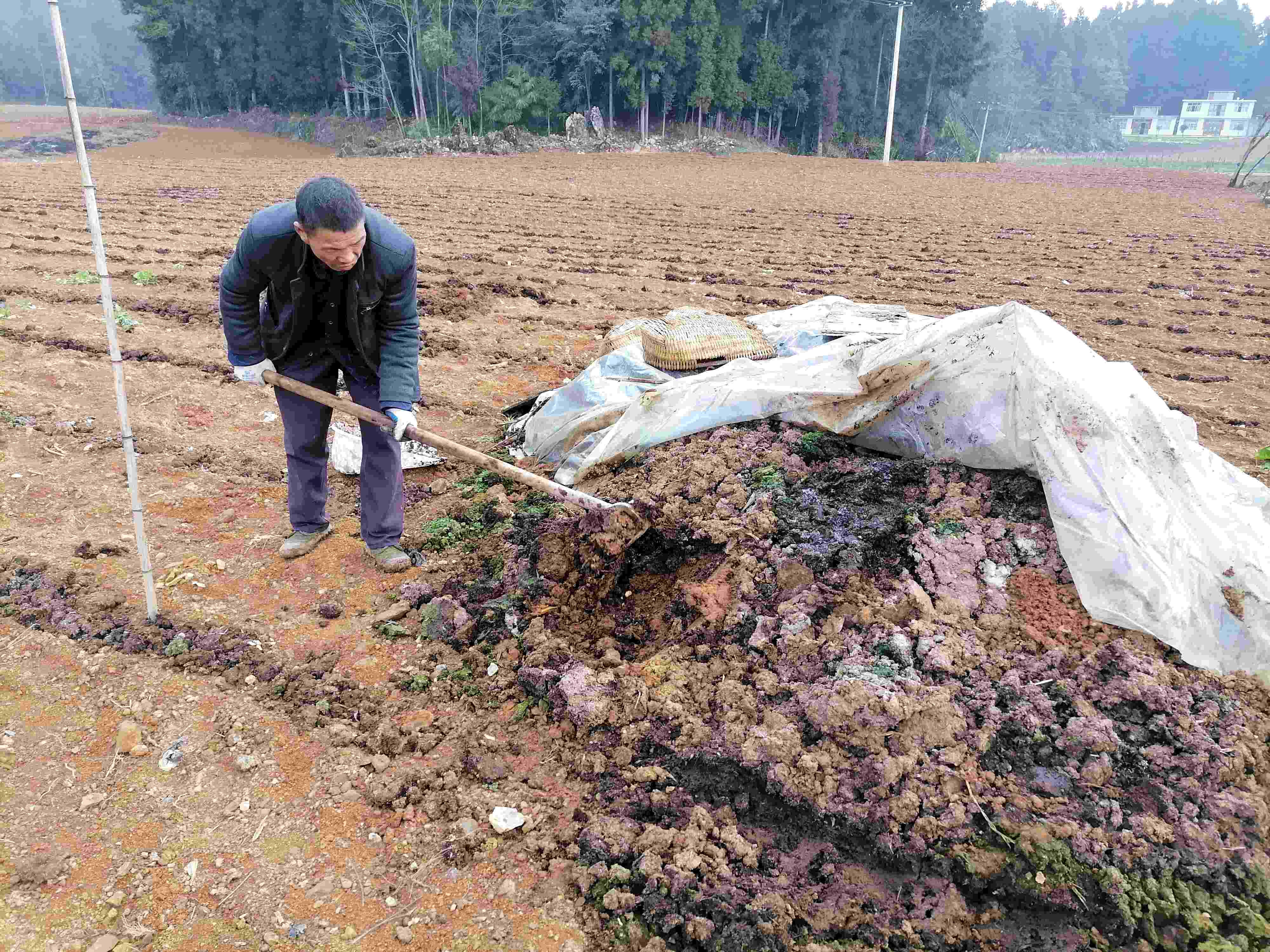 施用农家肥.jpg 施用农家肥.jpg
