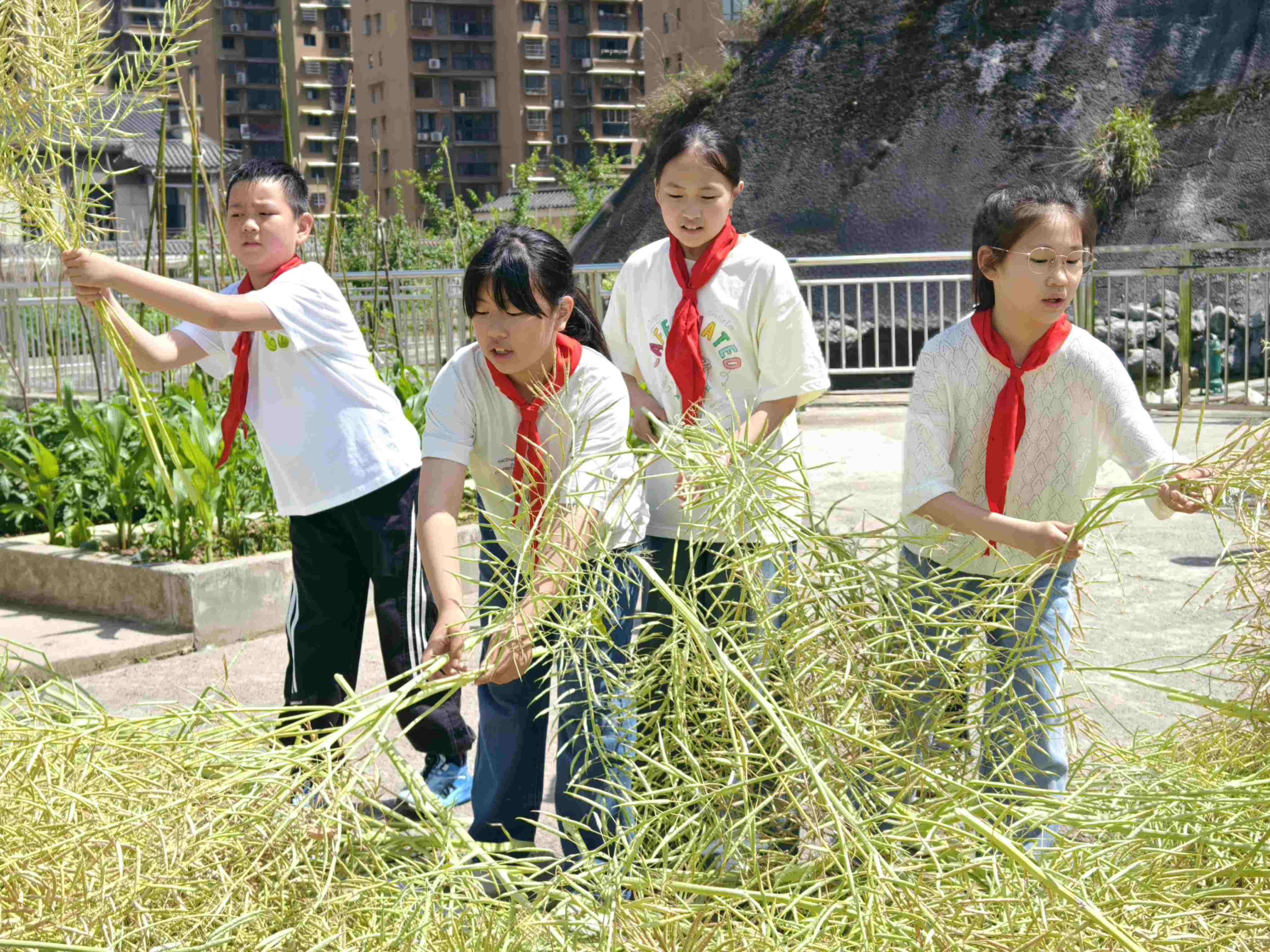 图片2.jpg