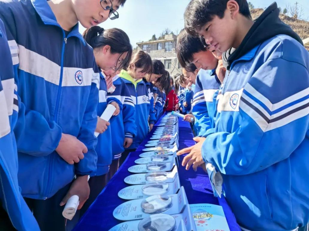 图片8.png 图片8.png