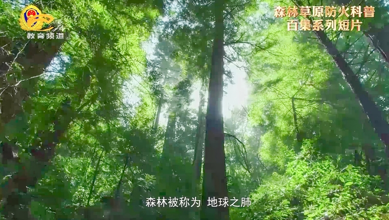 微信图片_20250519163753(1).jpg