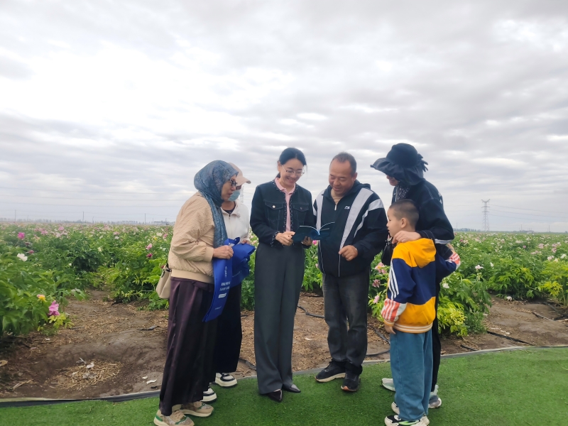 法治“枫”景 绘就天北靓丽底色——新疆生产建设兵团第七师胡杨河市天北经济技术开发区司法所开展法律知识宣传和法治维权活动