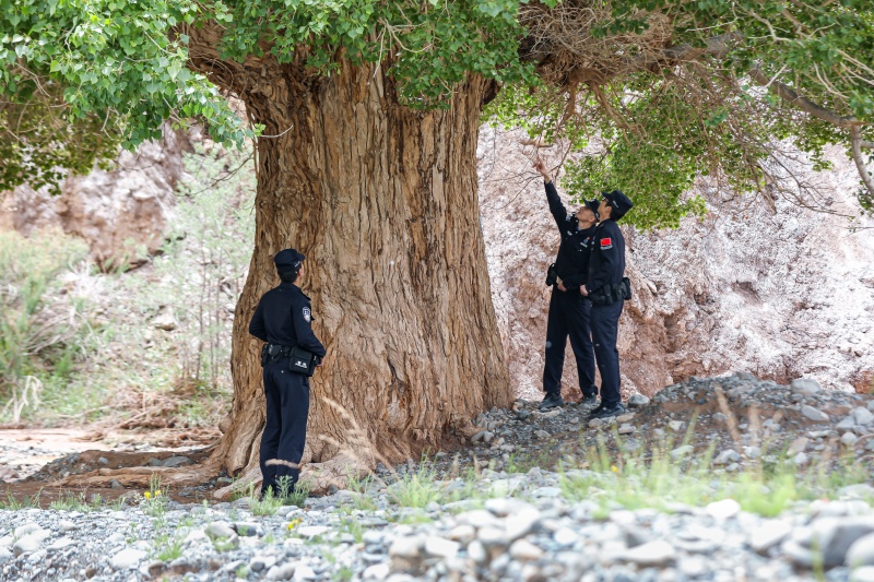 6月4,民警来到辖区胡杨林区开展常态化巡护,排查生态隐患。 (2)(1).jpg