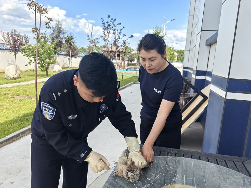 “暗夜精灵”遇险，新疆兵团第四师昭苏垦区民警全力救助