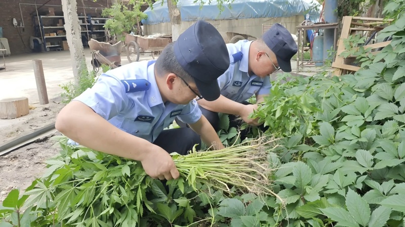 铲毒2.jpg