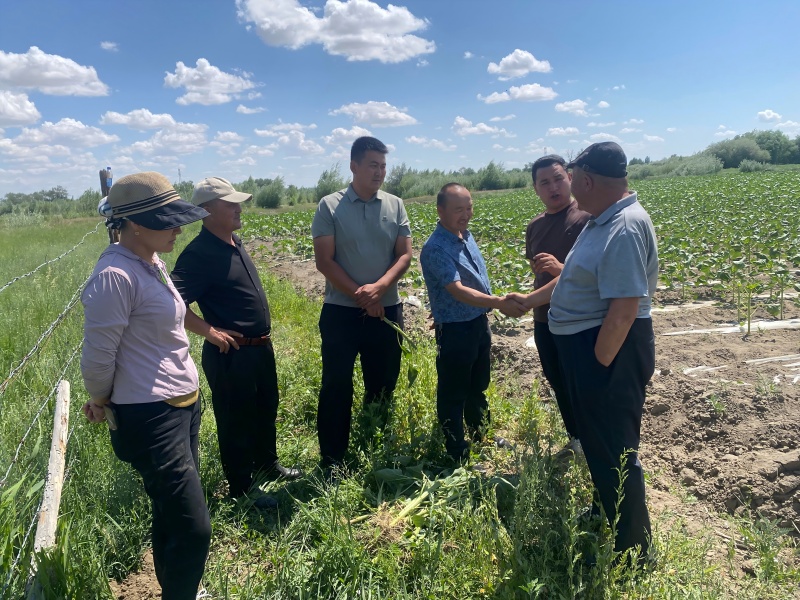 新疆富蕴县吐尔洪乡克孜勒塔斯村：调解牛损事件，化解邻里纠纷