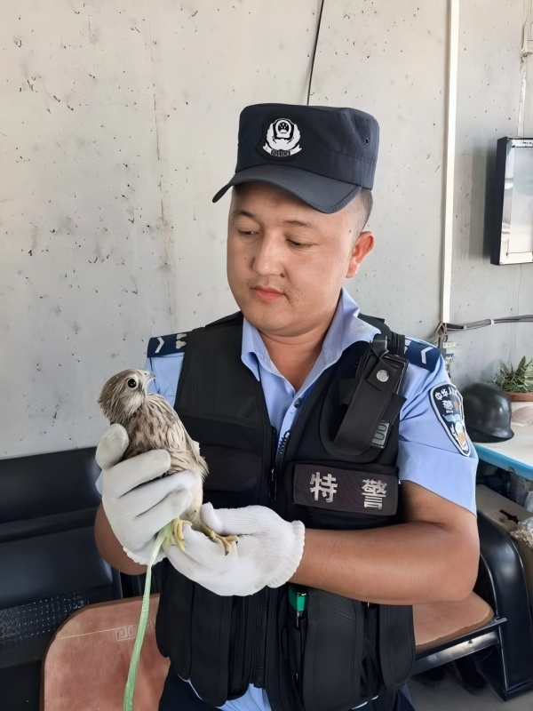 微信图片_20250701185919(1).jpg
