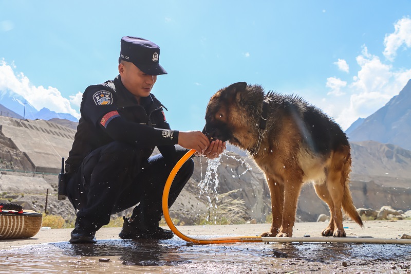 图为民警喂警犬喝水.jpg