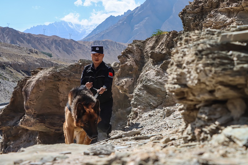 图为训导员携警犬开展追踪训练 (2).jpg