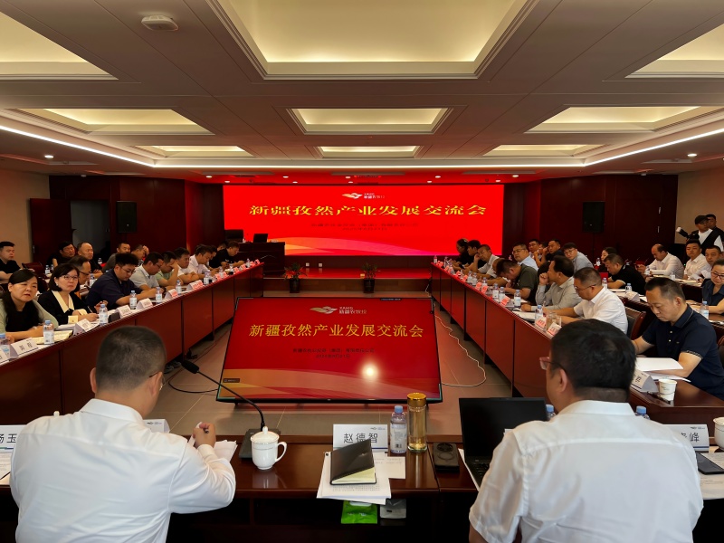为新疆孜然打通“国际化通道”——新疆孜然产业发展交流会召开 多方共探产业升级新路径