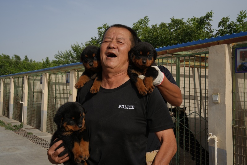 训导员李建新与他的爱犬们.jpg