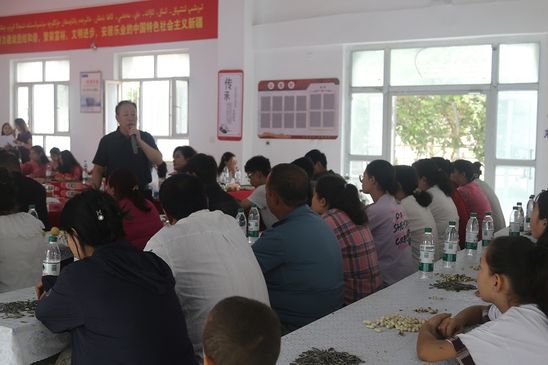 泽普2.jpg