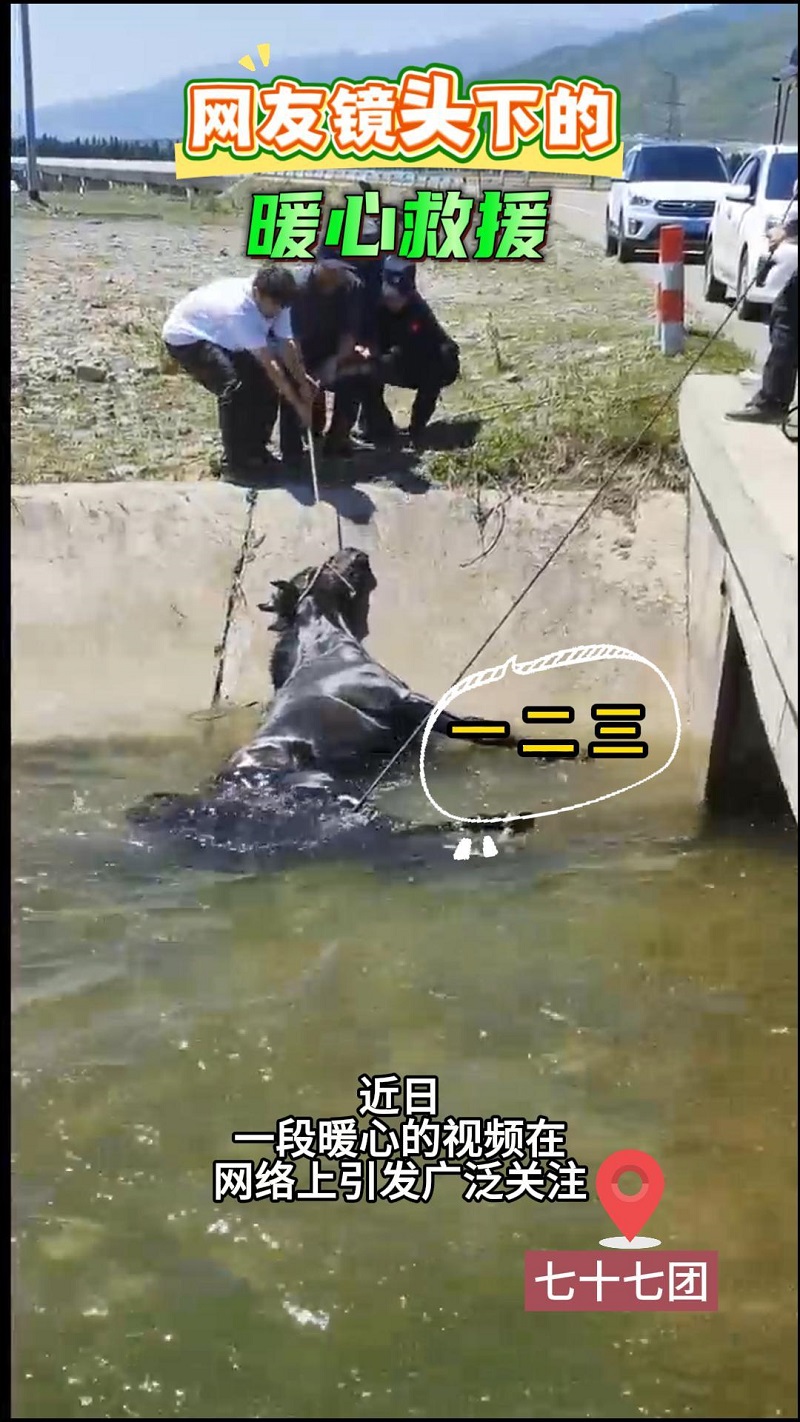 视频封面.jpg