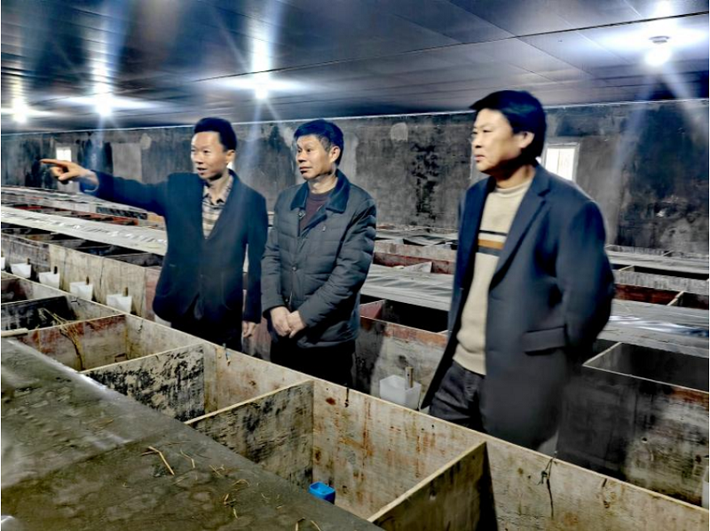 湖北省公安县自然资源和规划局：送服务送温暖，助力企业健康发展