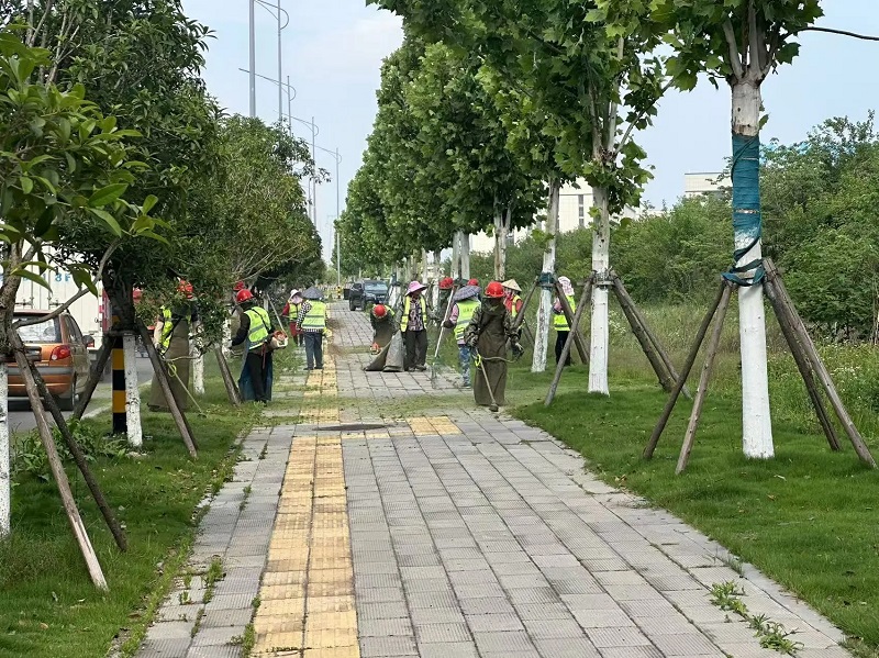 湖北荆州经开区：拆围提质增绿，刷新城市颜值