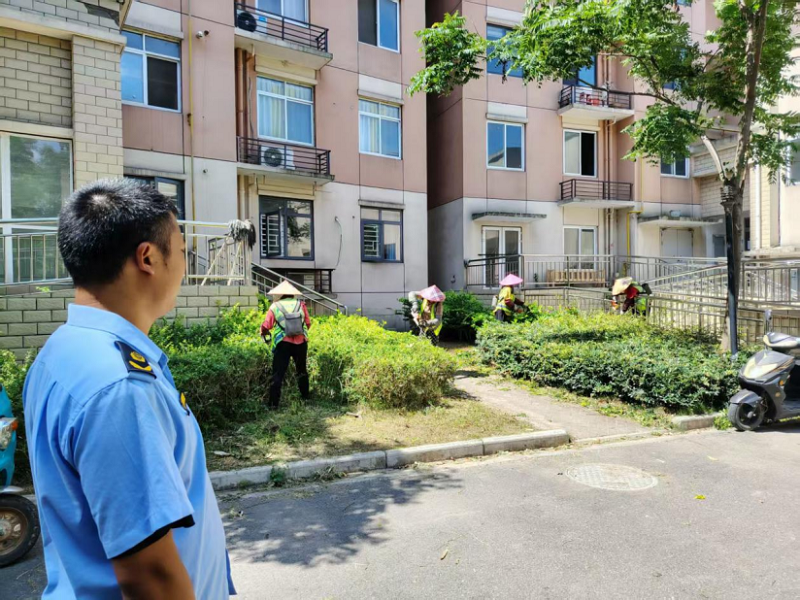 湖北荆州经开区：剪去“烦恼枝”，小区“焕新颜”