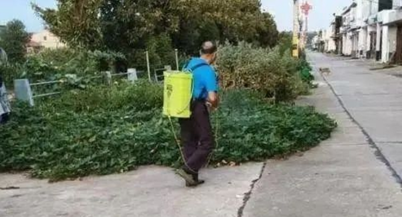 湖北省石首市小河口镇小河口村：精准灭蚊，筑牢疾病传播“防火墙”