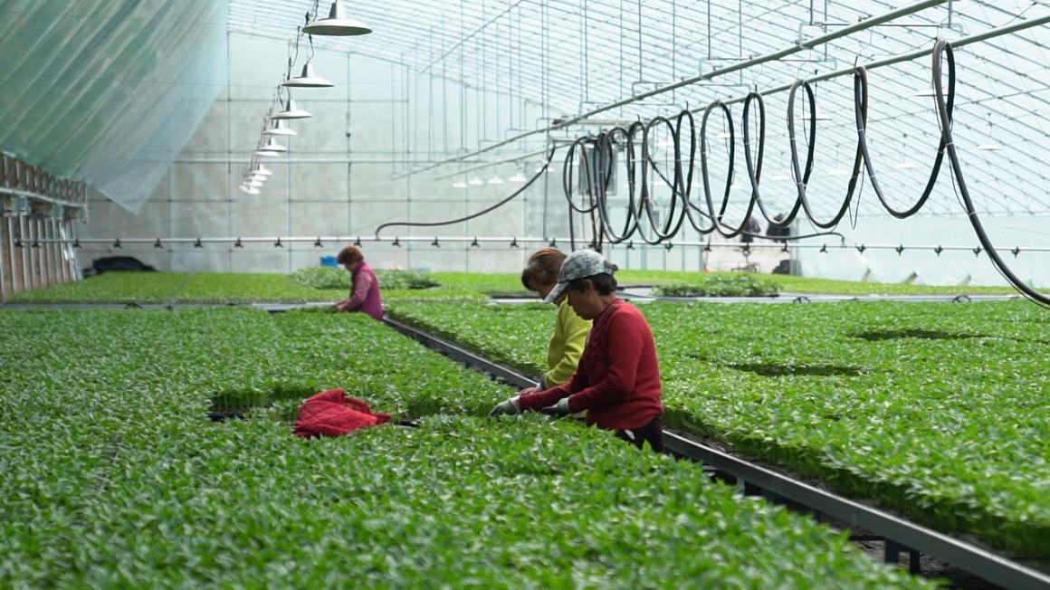 微信图片_20250401094922.png 微信图片_20250401094922.png