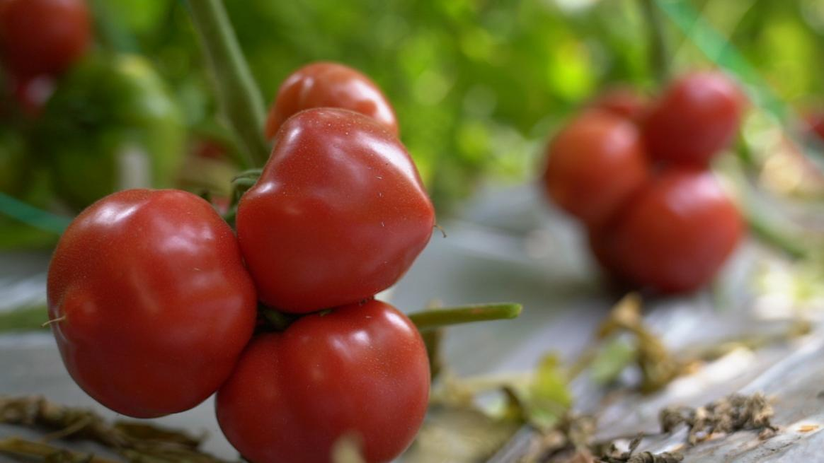 微信图片_20250401094934.png 微信图片_20250401094934.png