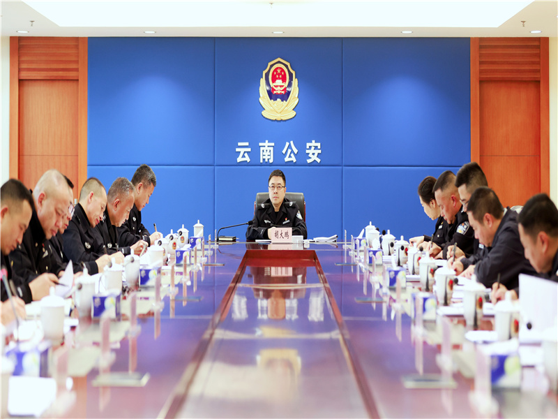 云南省公安厅：以务实作风和底线思维 扎实做好维护社会安全稳定各项工作