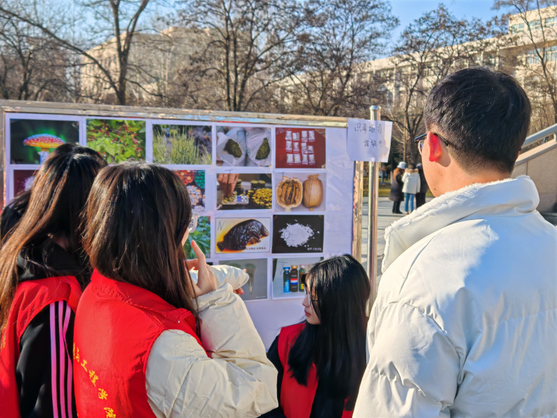 银川市西夏区：大学生禁毒艺术展，绘就无毒青春画卷