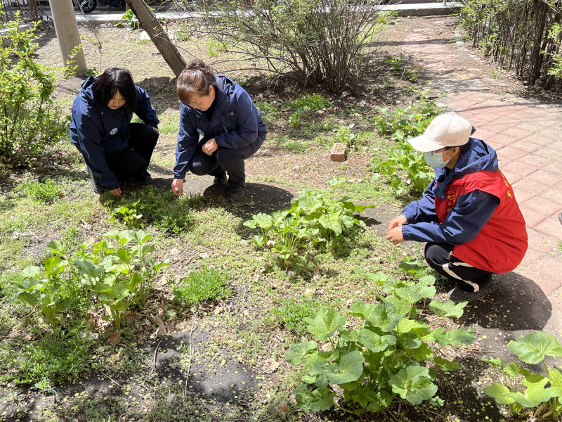 宁夏大武口区：织密街矿禁毒网 共护净土保平安