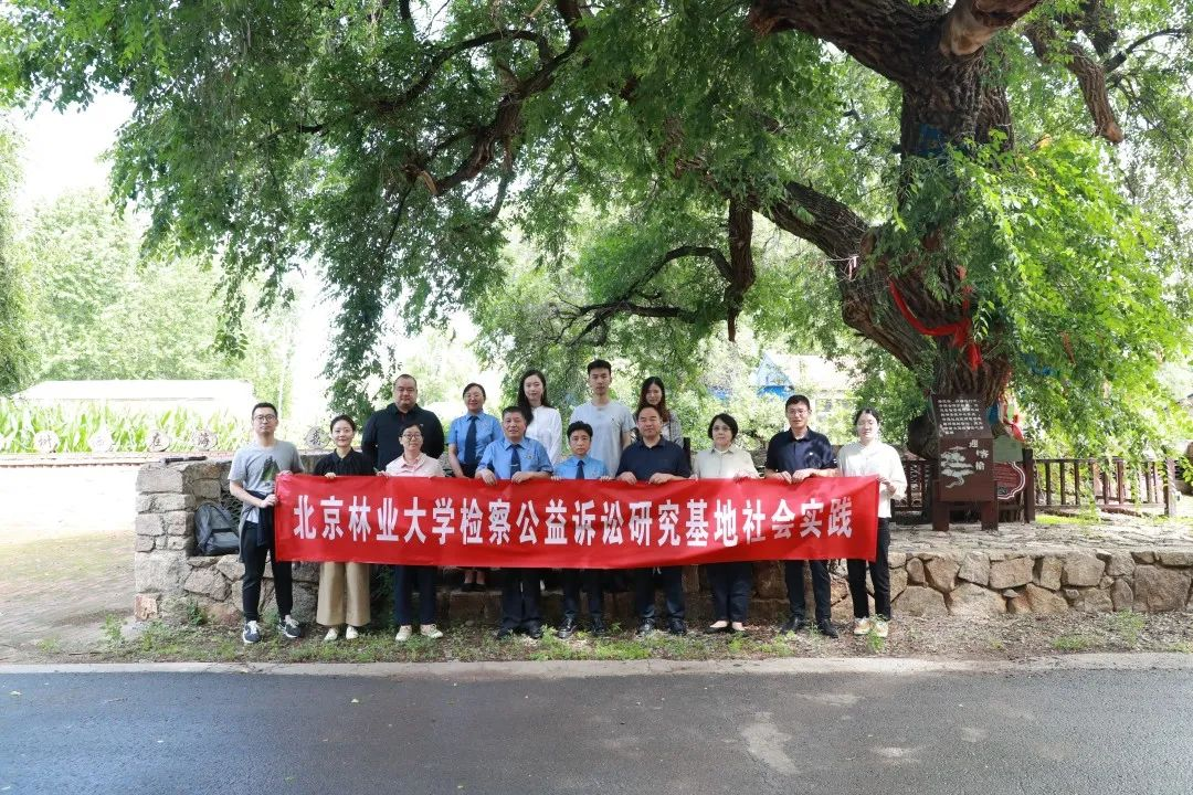 图片 1.png 图片 1.png