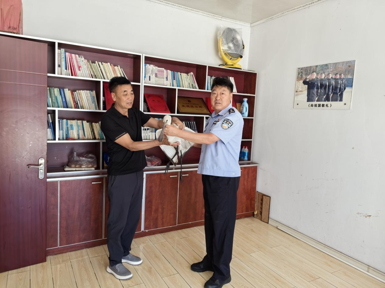 图片 1.png 图片 1.png