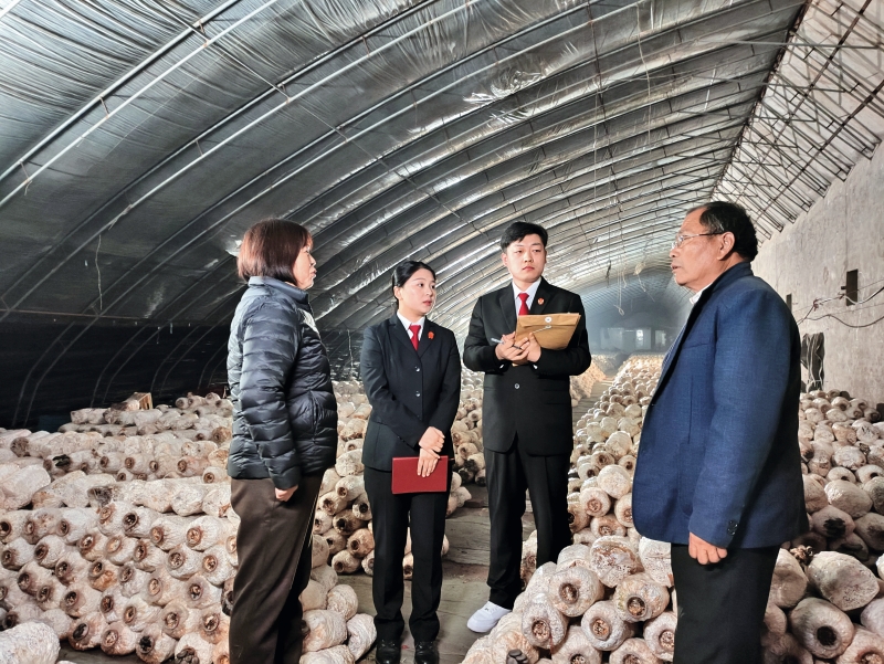 管城区法院法官到南曹乡蔬菜大棚走访农户_副本.jpg