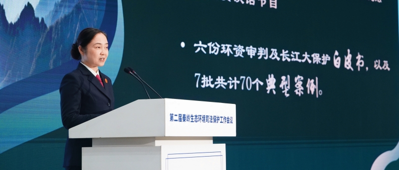 P1448860陈旗_副本.jpg