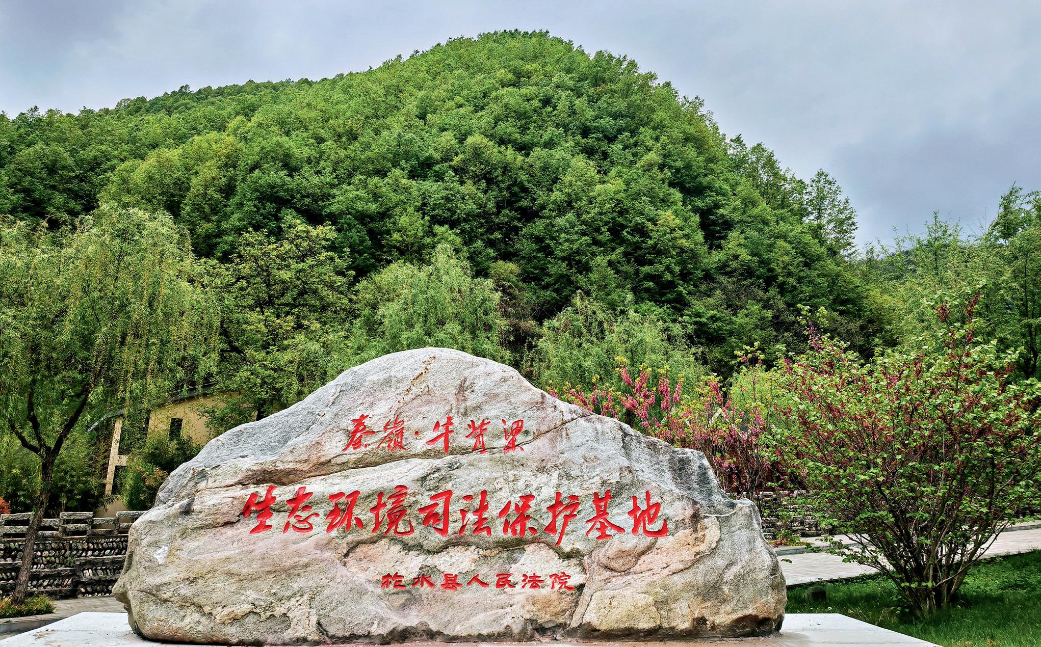 第15页-38.JPG