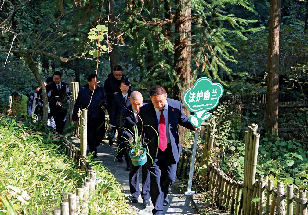 第25页-50.JPG