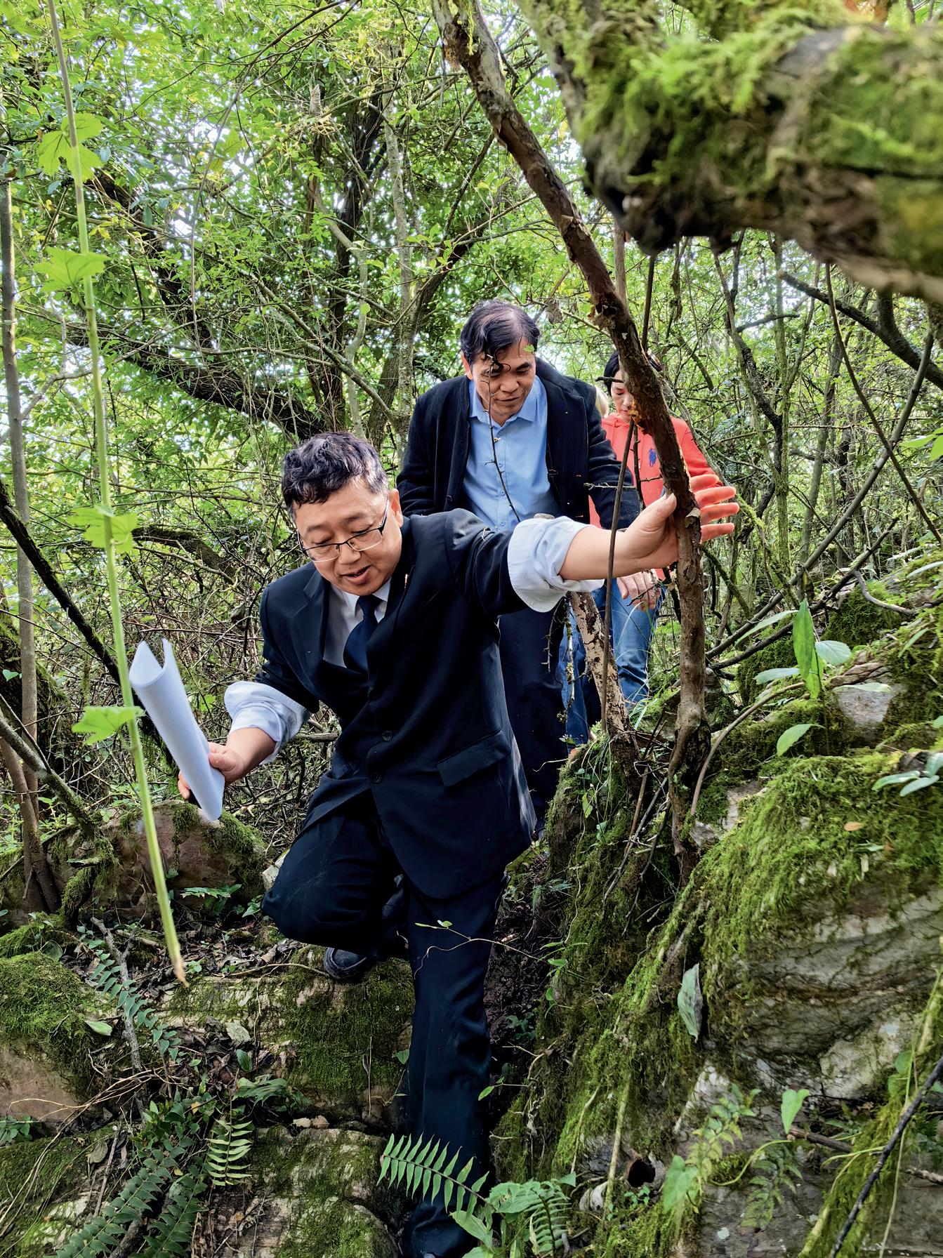 第31页-59.JPG